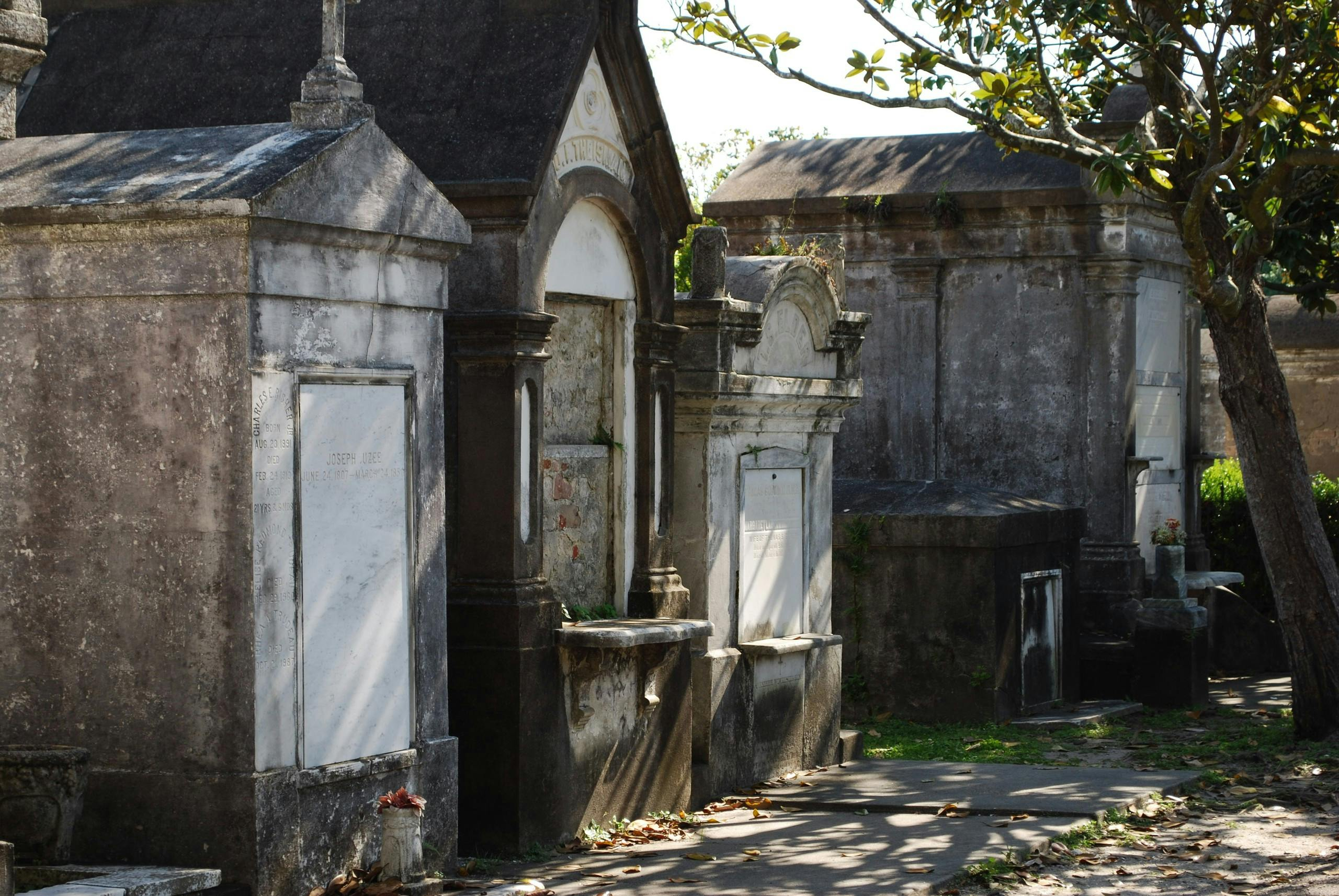 Garden District: Guided Walking Tour - Photo 1 of 6
